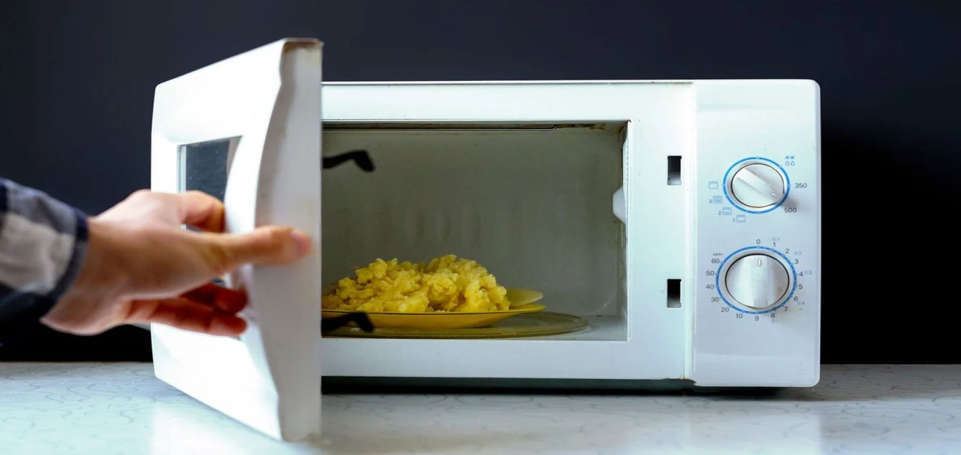 Microwave Repair Service at Home in Raipur